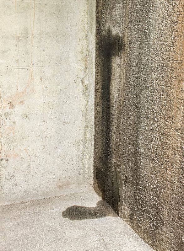 Wet Basement Repair in Sarasota, FL